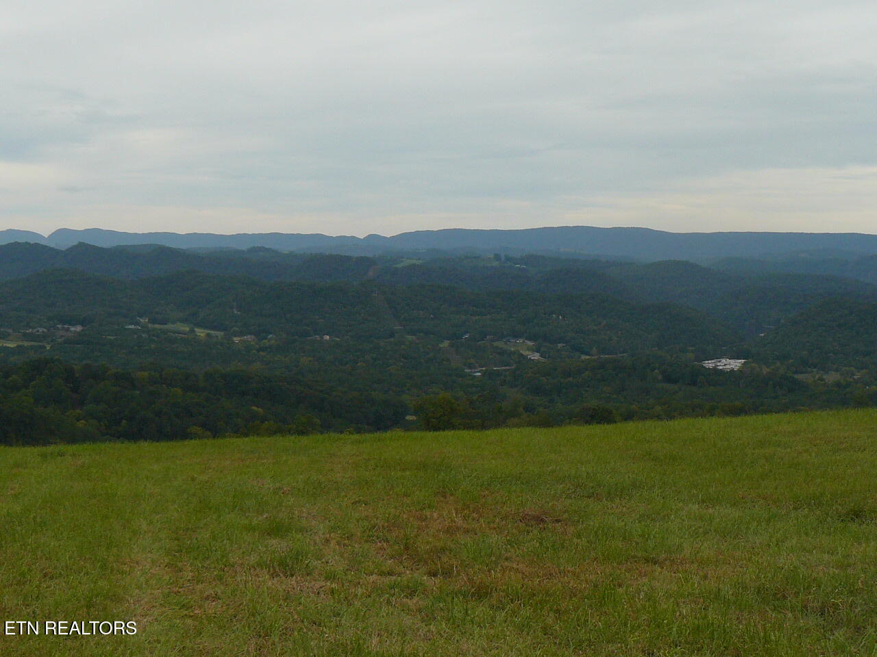 132 Acres Leabow Hollow Rd
