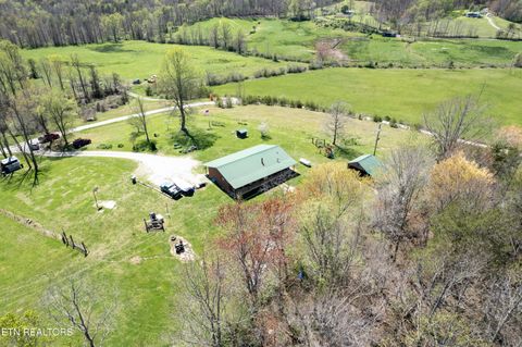 Tiny photo for 181 Mullins Lane Ln, Sunbright, TN 37872 (MLS # 1319947)