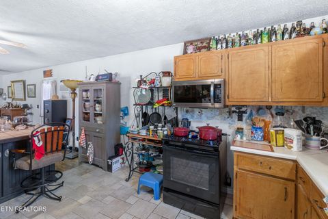 Tiny photo for 181 Mullins Lane Ln, Sunbright, TN 37872 (MLS # 1319947)