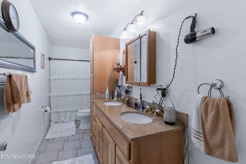 Tiny photo for 181 Mullins Lane Ln, Sunbright, TN 37872 (MLS # 1319947)