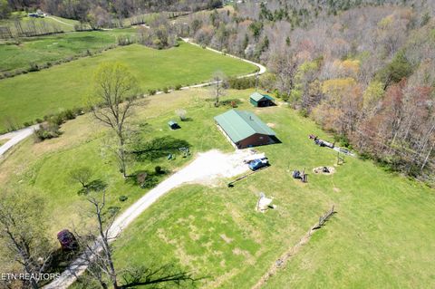 Tiny photo for 181 Mullins Lane Ln, Sunbright, TN 37872 (MLS # 1319947)