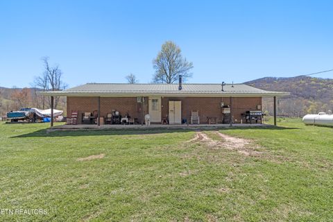Tiny photo for 181 Mullins Lane Ln, Sunbright, TN 37872 (MLS # 1319947)
