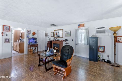 Tiny photo for 181 Mullins Lane Ln, Sunbright, TN 37872 (MLS # 1319947)