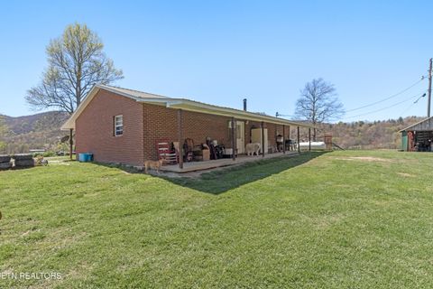 Tiny photo for 181 Mullins Lane Ln, Sunbright, TN 37872 (MLS # 1319947)