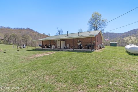 Tiny photo for 181 Mullins Lane Ln, Sunbright, TN 37872 (MLS # 1319947)