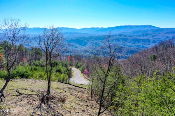 5696 ABRAMS VIEW WAY, TALLASSEE, TN 37878 - Image 7de0244d3a761acaa52ea6c6bbcb0f4e/2195348115