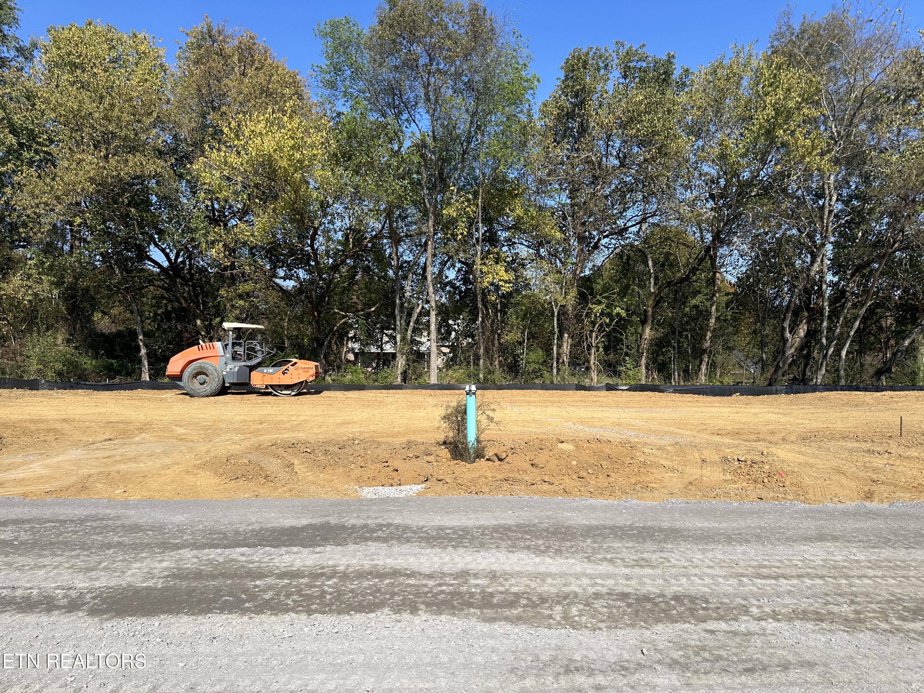 676 Snowflower Circle 22