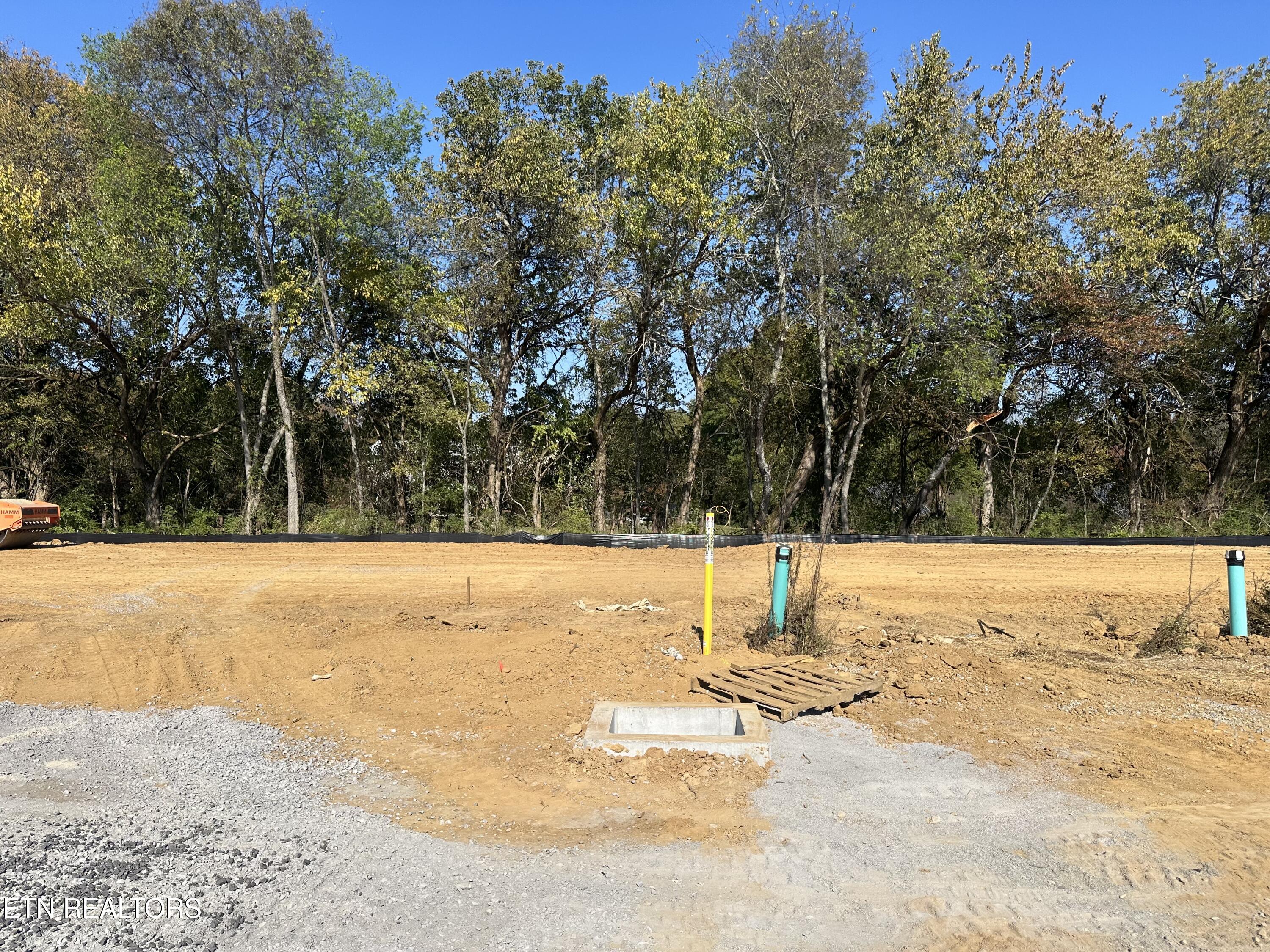 676 Snowflower Circle 22