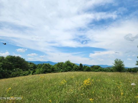 Hiwassee Drive Jacksboro TN 37757