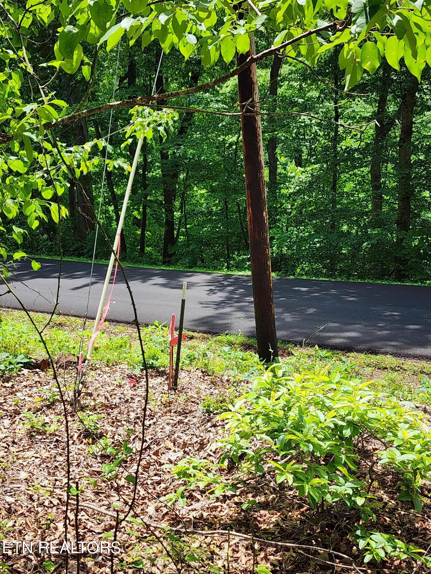 Hiwassee Drive