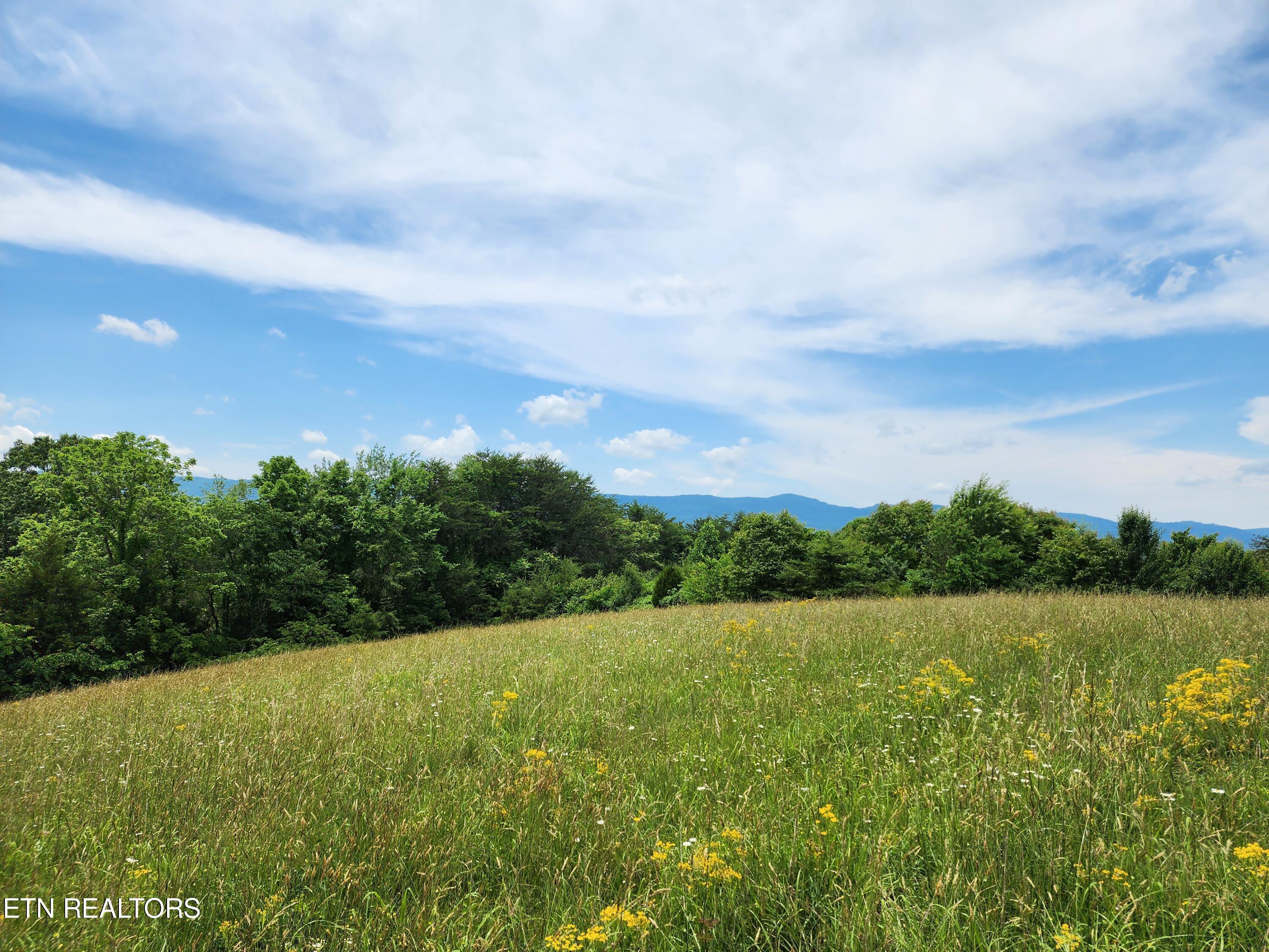 Hiwassee Drive