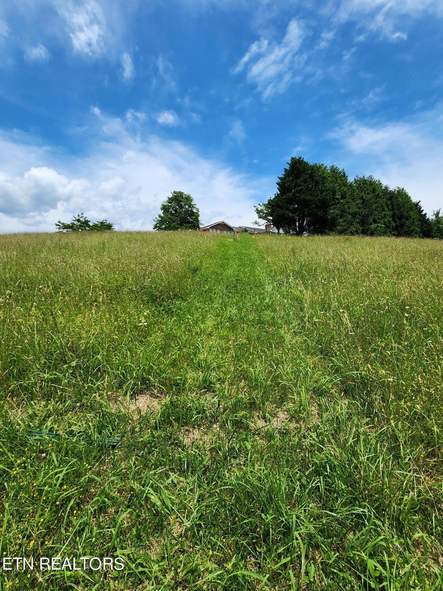Hiwassee Drive