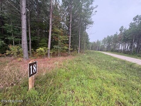 Tiny photo for 318 Rhodas Way, Sunbright, TN 37872 (MLS # 1315947)