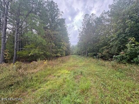 Tiny photo for 318 Rhodas Way, Sunbright, TN 37872 (MLS # 1315947)