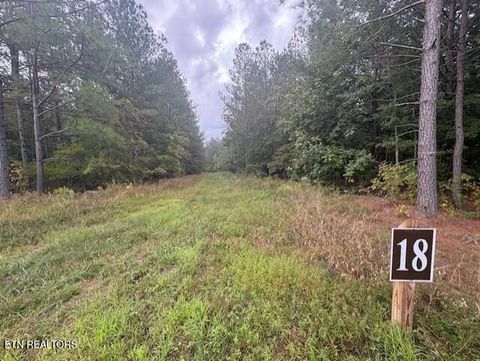 Photo of 318 Rhodas Way, Sunbright, TN 37872 (MLS # 1315947)
