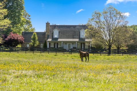 Photo of 7714 Washington Pike, Corryton, TN 37721 (MLS # 1337934)