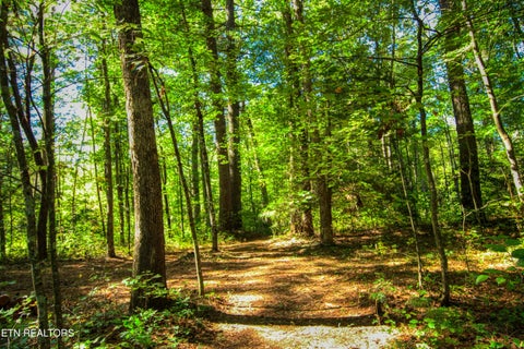 Tiny photo for 561 Northrup Falls Drive, Jamestown, TN 38556 (MLS # 1359623)
