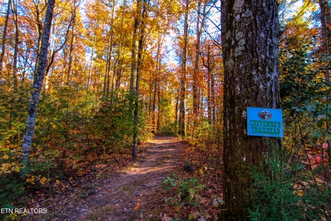 Tiny photo for 561 Northrup Falls Drive, Jamestown, TN 38556 (MLS # 1359623)
