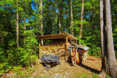 Tiny photo for 561 Northrup Falls Drive, Jamestown, TN 38556 (MLS # 1359623)