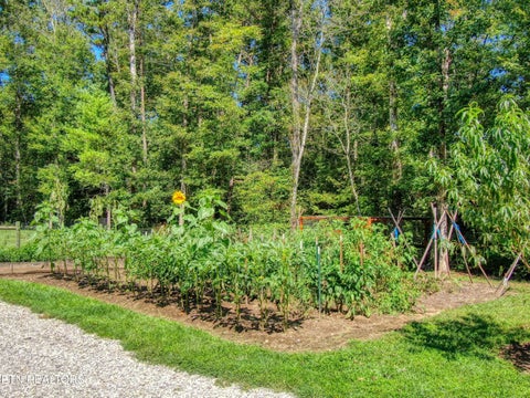 Tiny photo for 561 Northrup Falls Drive, Jamestown, TN 38556 (MLS # 1359623)