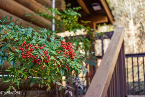 Tiny photo for 1627 Eagle Springs Rd, Sevierville, TN 37876 (MLS # 1359356)