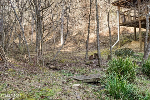 Tiny photo for 1627 Eagle Springs Rd, Sevierville, TN 37876 (MLS # 1359356)