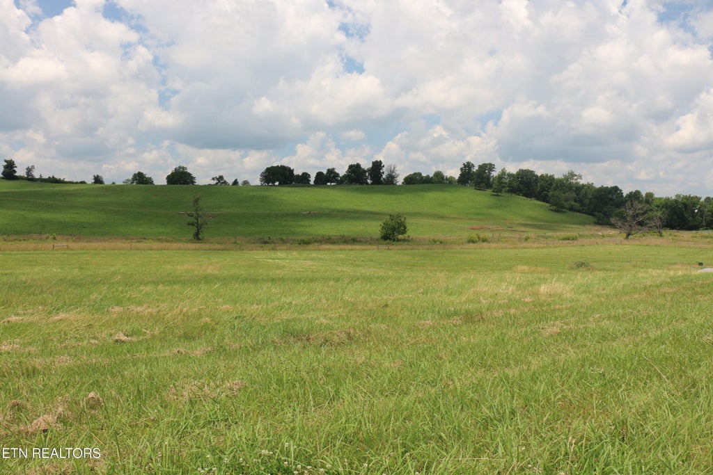 Photo of 4 County Road 461, Englewood, TN 37329 (MLS # 1344199)