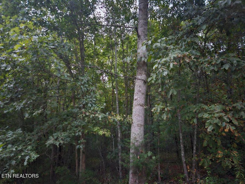 Photo of 00 Sandy Rd N/O Rd, Wilder, TN 38589 (MLS # 1327770)