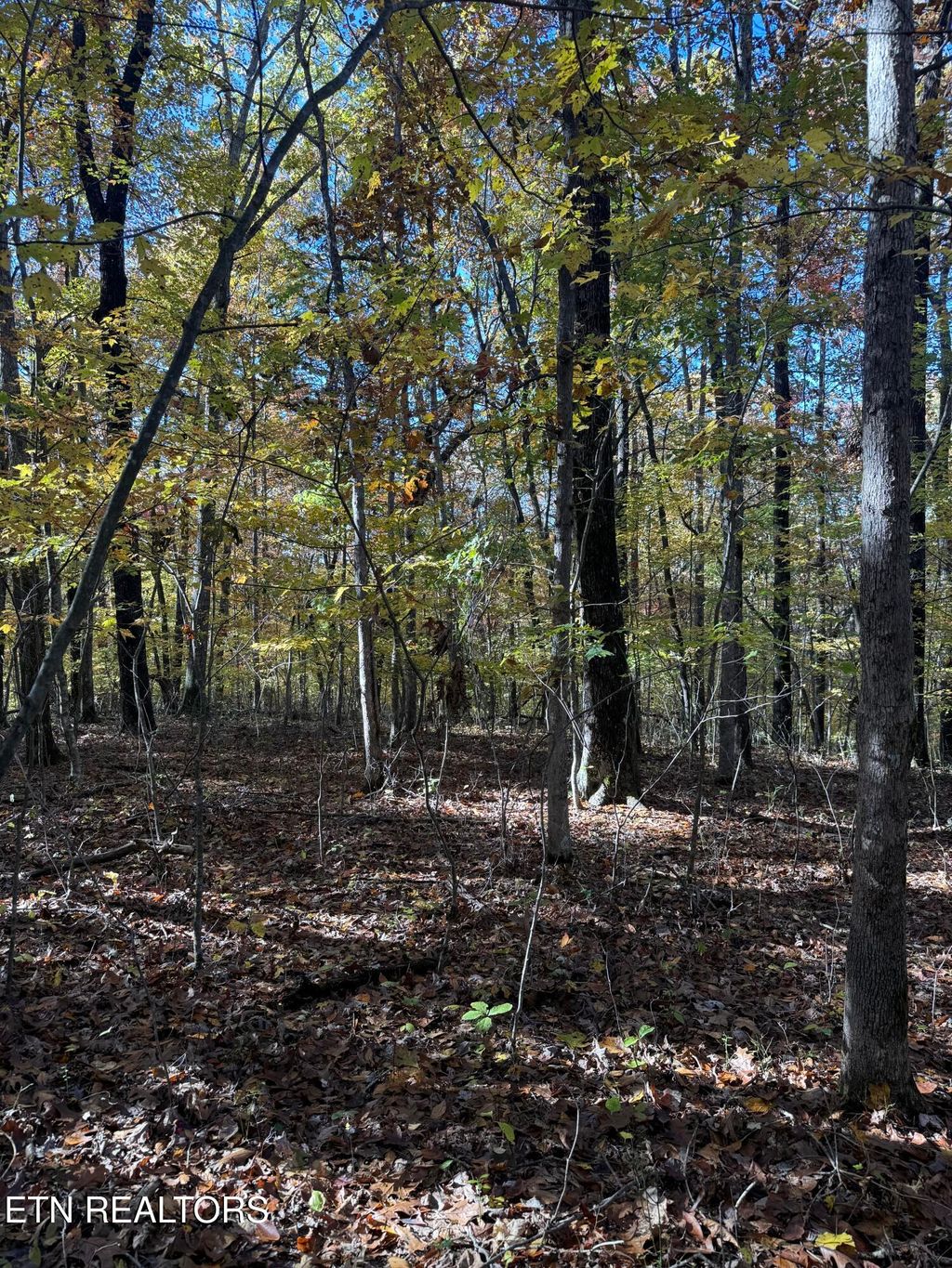 Photo of 29 Crest Rd, Monterey, TN 38574 (MLS # 1320723)