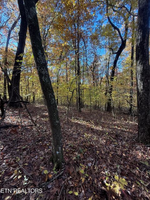 Photo of 29 Crest Rd, Monterey, TN 38574 (MLS # 1320723)