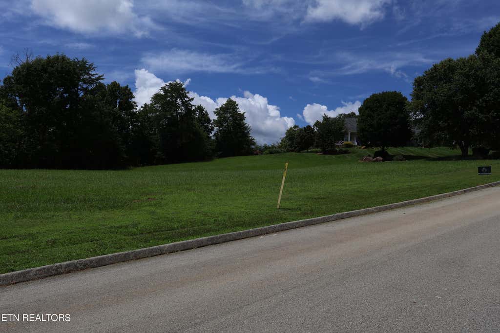 Photo of 113 Highland Reserve Way, Kingston, TN 37763 (MLS # 1341610)