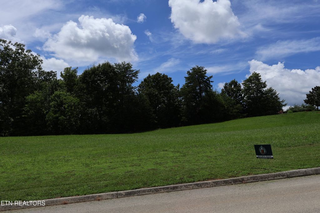 Photo of 113 Highland Reserve Way, Kingston, TN 37763 (MLS # 1341610)