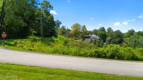Tiny photo for 8 Farmers Hollow Rd, Clinton, TN 37716 (MLS # 1315800)