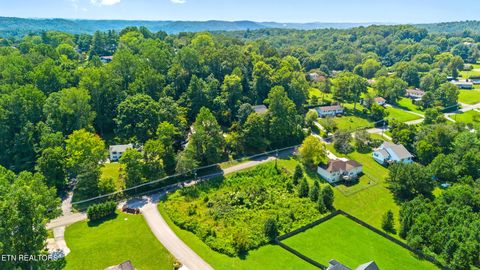 Tiny photo for 8 Farmers Hollow Rd, Clinton, TN 37716 (MLS # 1315800)