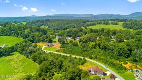 Tiny photo for 8 Farmers Hollow Rd, Clinton, TN 37716 (MLS # 1315800)