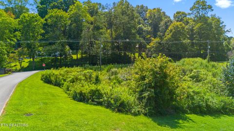 Tiny photo for 8 Farmers Hollow Rd, Clinton, TN 37716 (MLS # 1315800)