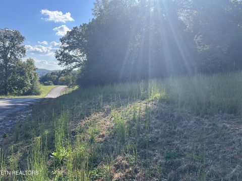 Tiny photo for 34 Goodfield Terrace, Decatur, TN 37322 (MLS # 1317539)