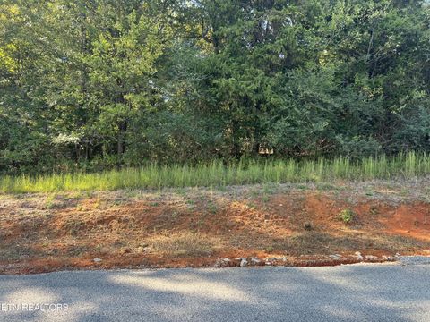 Tiny photo for 34 Goodfield Terrace, Decatur, TN 37322 (MLS # 1317539)
