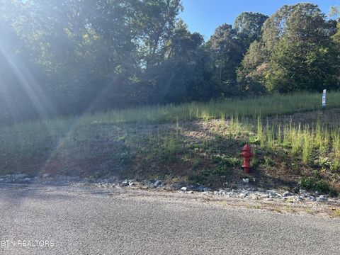Tiny photo for 34 Goodfield Terrace, Decatur, TN 37322 (MLS # 1317539)