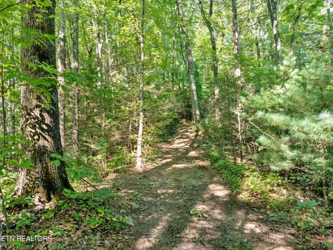 Tiny photo for 0 Wakeman Way, Cosby, TN 37722 (MLS # 1313588)