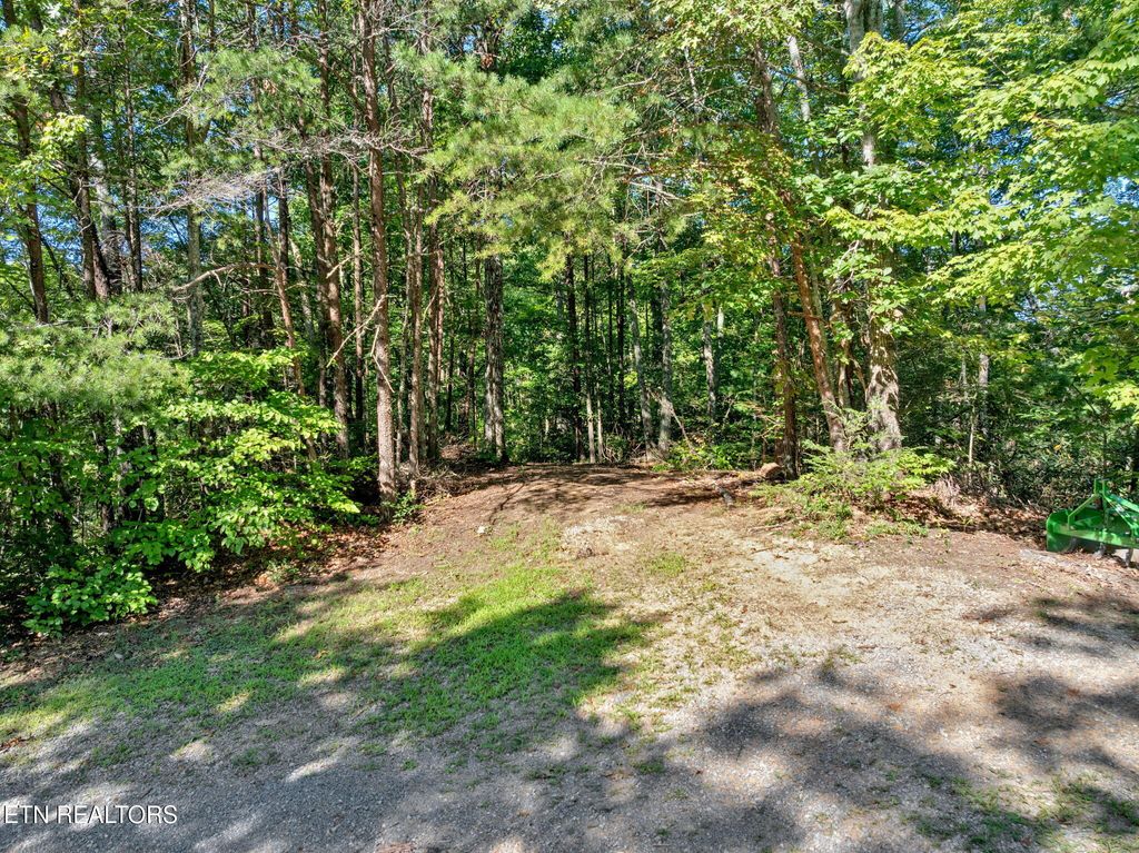 Photo of 0 Wakeman Way, Cosby, TN 37722 (MLS # 1313588)