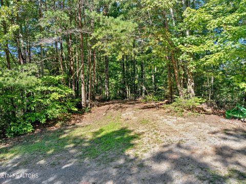 Tiny photo for 0 Wakeman Way, Cosby, TN 37722 (MLS # 1313588)