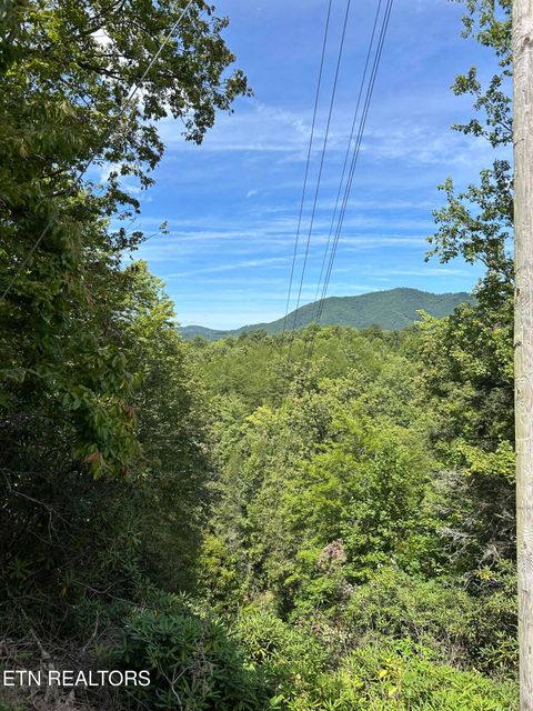 Tiny photo for 0 Wakeman Way, Cosby, TN 37722 (MLS # 1313588)