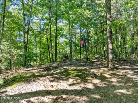 Tiny photo for 0 Wakeman Way, Cosby, TN 37722 (MLS # 1313588)