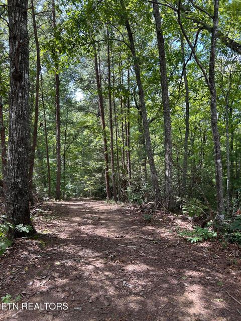Tiny photo for 0 Wakeman Way, Cosby, TN 37722 (MLS # 1313588)