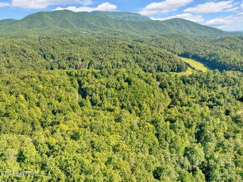 Tiny photo for 0 Wakeman Way, Cosby, TN 37722 (MLS # 1313588)
