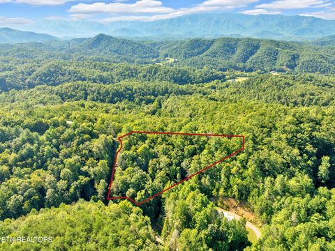 Tiny photo for 0 Wakeman Way, Cosby, TN 37722 (MLS # 1313588)