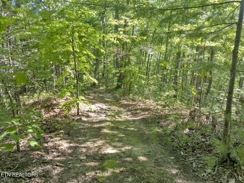 Tiny photo for 0 Wakeman Way, Cosby, TN 37722 (MLS # 1313588)