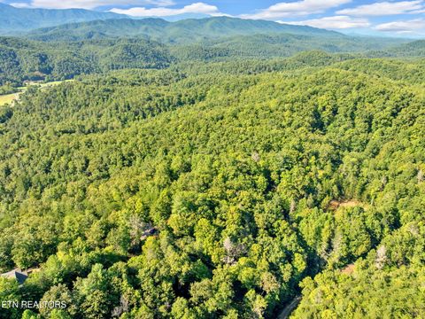 Tiny photo for 0 Wakeman Way, Cosby, TN 37722 (MLS # 1313588)