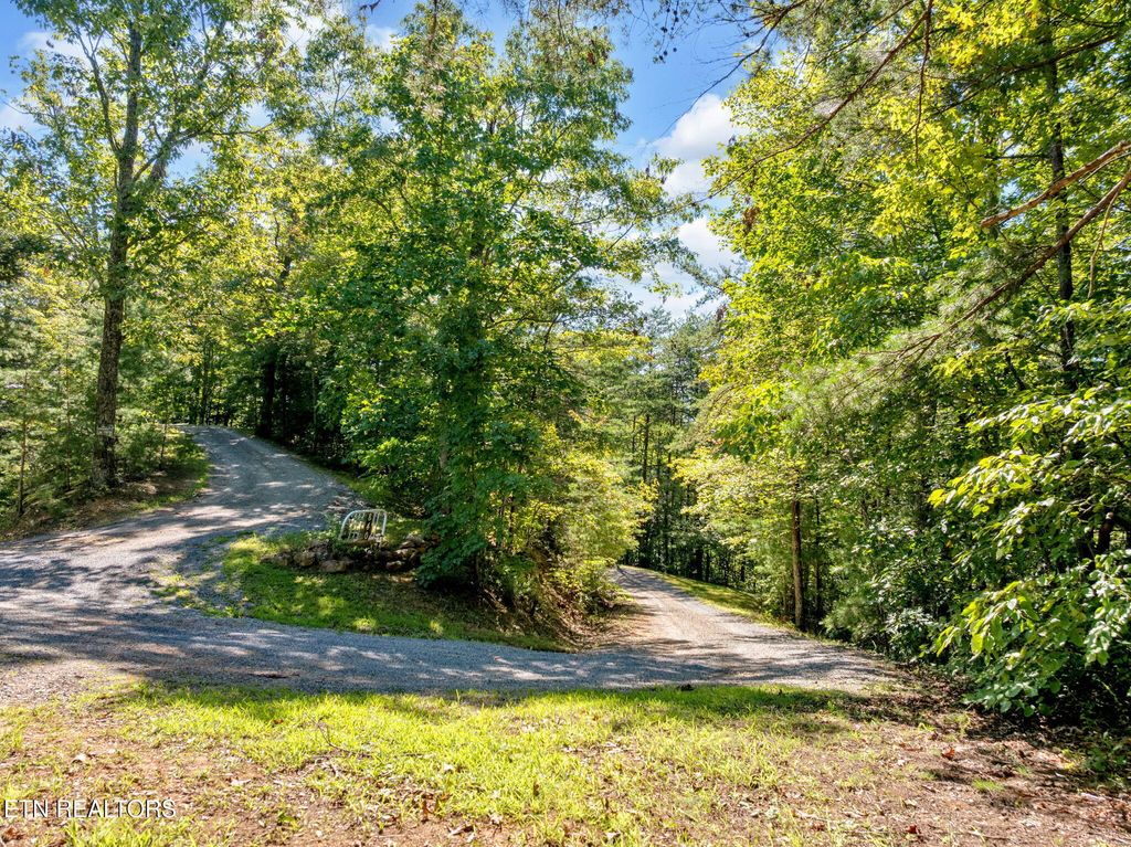 Photo of 0 Wakeman Way, Cosby, TN 37722 (MLS # 1313588)